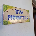 Pizzutella