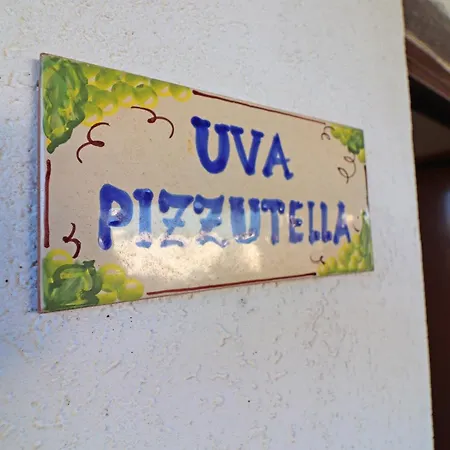 Daire Pizzutella